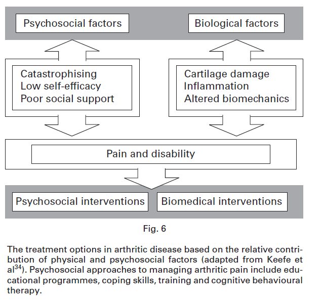 Neogi T, Osteoarthritis&Cartilage 2013