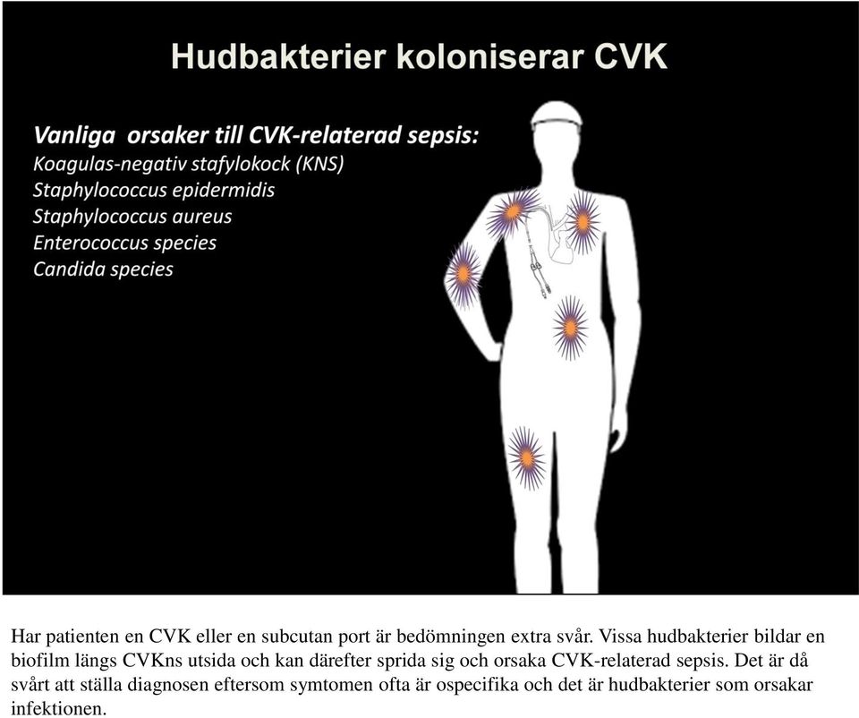 sprida sig och orsaka CVK-relaterad sepsis.