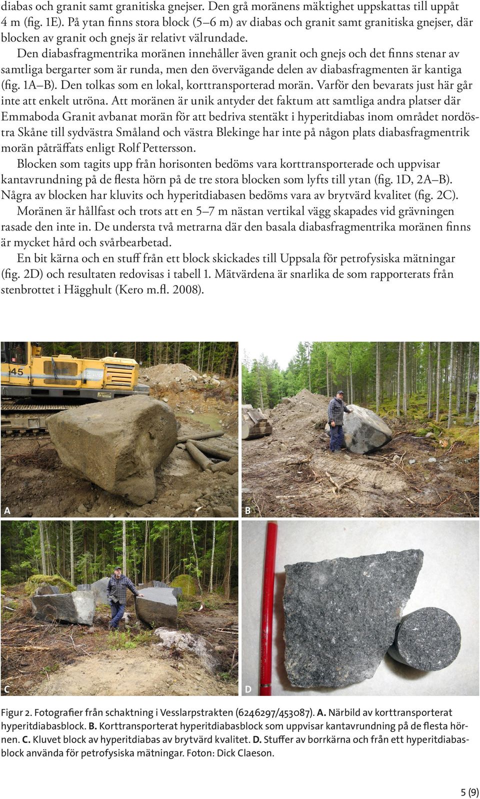 Den diabasfragmentrika moränen innehåller även granit och gnejs och det finns stenar av samtliga bergarter som är runda, men den övervägande delen av diabasfragmenten är kantiga (fig. 1A B).