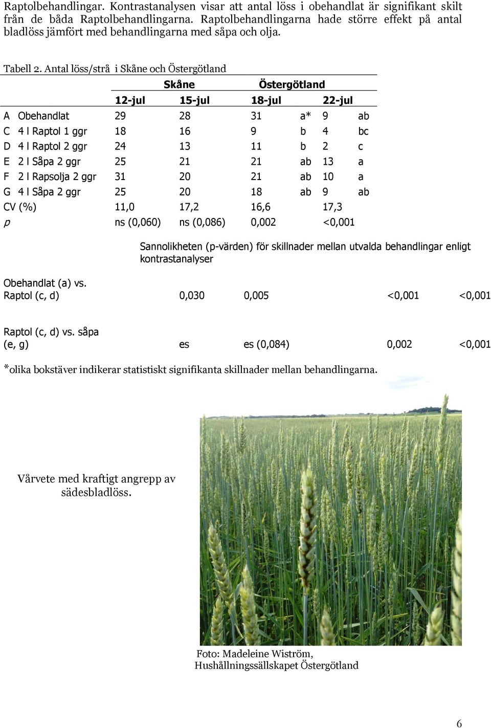 Antal löss/strå i Skåne och Östergötland Skåne Östergötland 12-jul 15-jul 18-jul 22-jul A Obehandlat 29 28 31 a* 9 ab C 4 l Raptol 1 ggr 18 16 9 b 4 bc D 4 l Raptol 2 ggr 24 13 11 b 2 c E 2 l Såpa 2