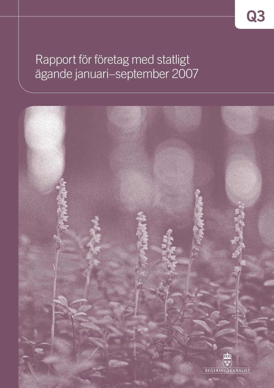 statligt ägande