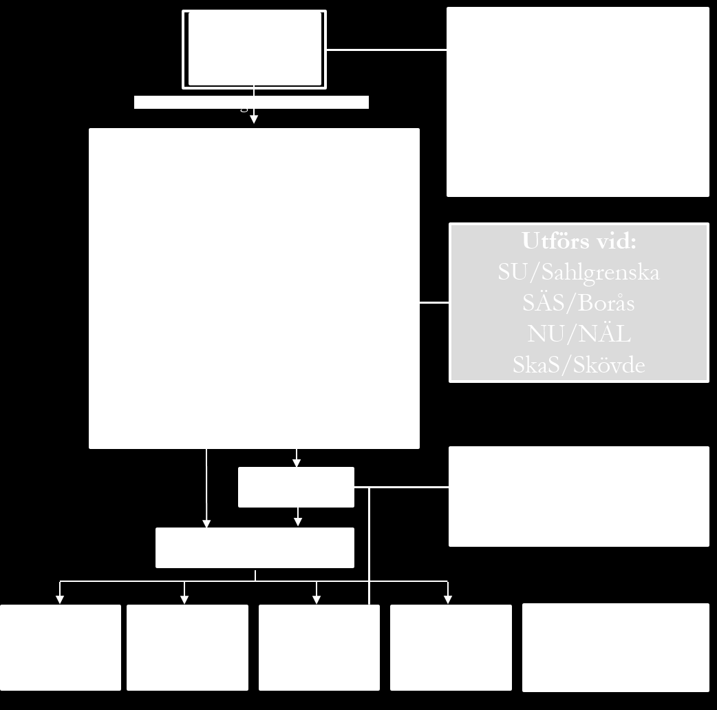 3. PATIENTENS VÄG GENOM VÅRDEN Patientens vårdprocess beskrivs i texten nedan samt genom en visualisering (figur 3).