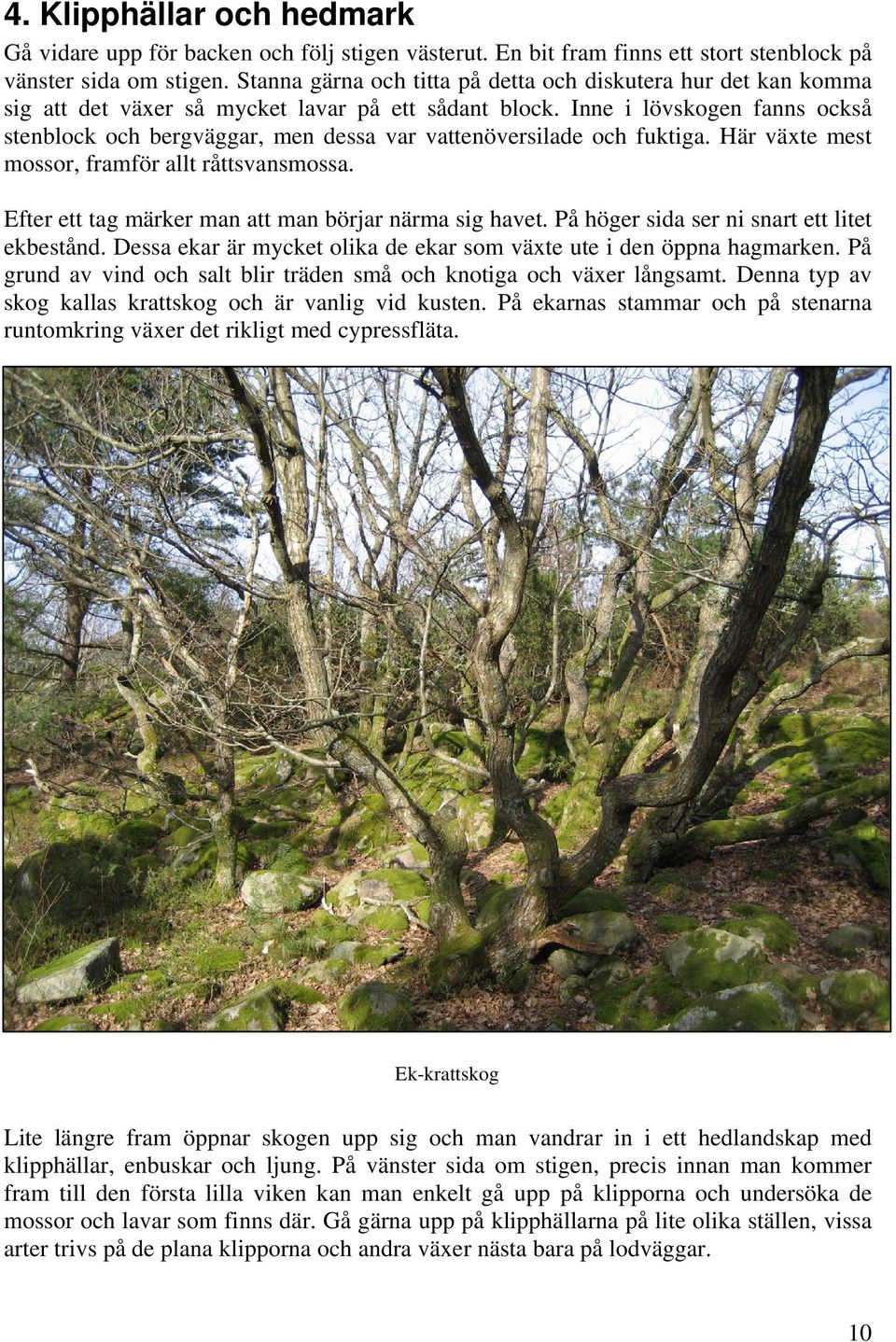 Inne i lövskogen fanns också stenblock och bergväggar, men dessa var vattenöversilade och fuktiga. Här växte mest mossor, framför allt råttsvansmossa.