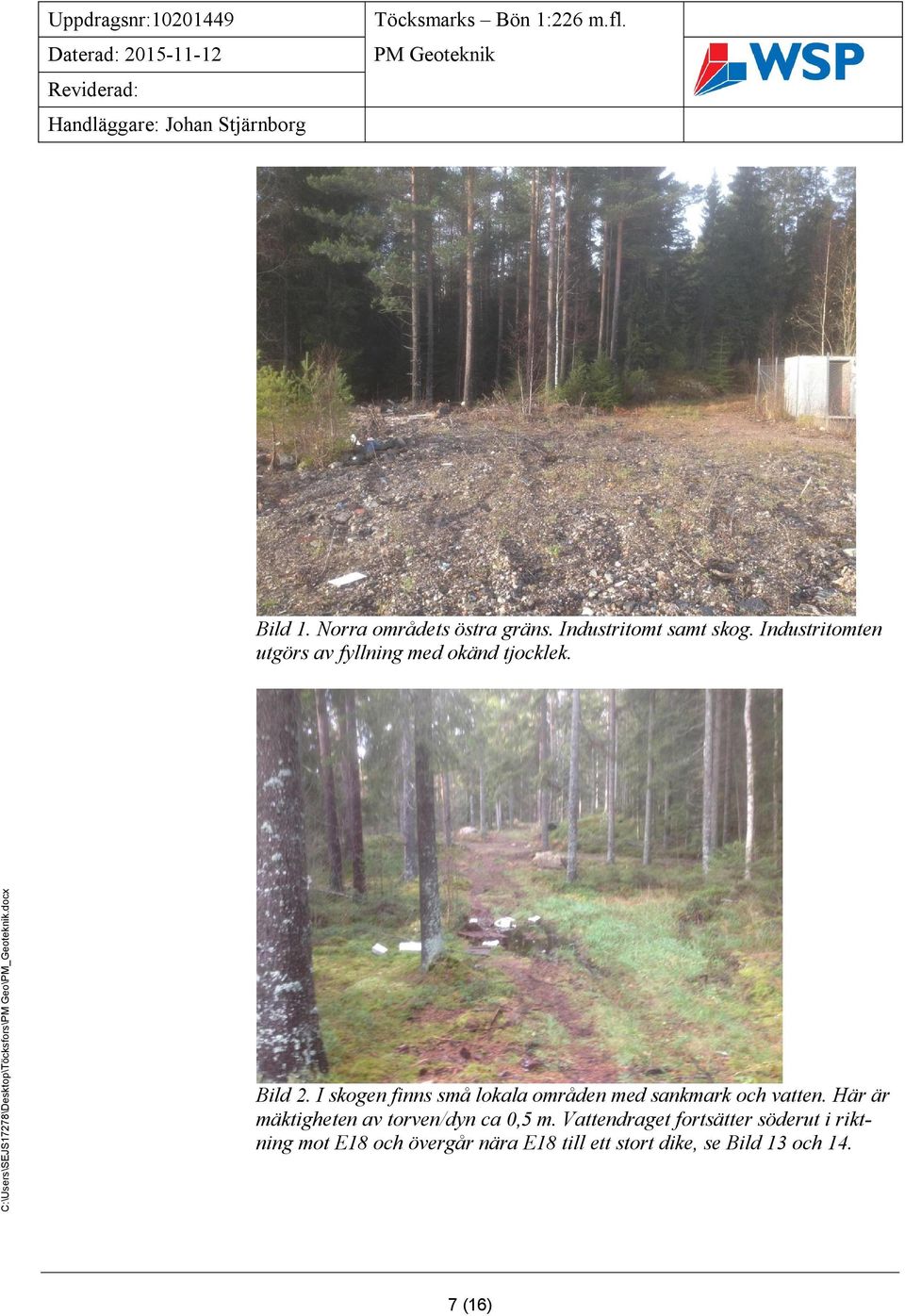 I skogen finns små lokala områden med sankmark och vatten.
