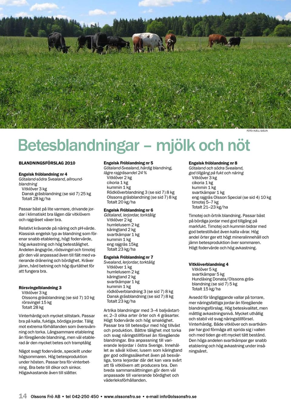Klassisk engelsk typ av blandning som förenar snabb etablering, högt fodervärde, hög avkastning och hög betestålighet.