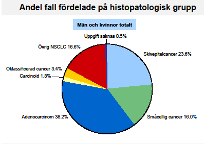 Histopatologisk klassifikation Icke småcellig lungcancer cirka 80% Skivepitelcancer Adenocarcinom (Bronkioloalveolar cancer) Storcellig lungcancer Småcellig lungcancer ca 15% Carcinoider: typiska,