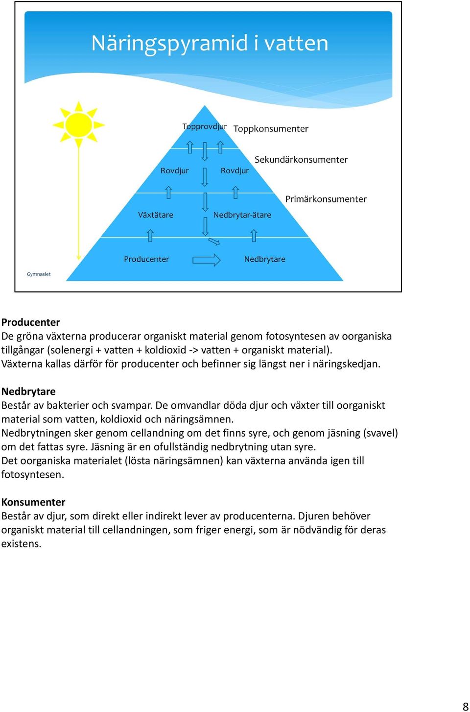 De omvandlar döda djur och växter till oorganiskt material som vatten, koldioxid och näringsämnen.