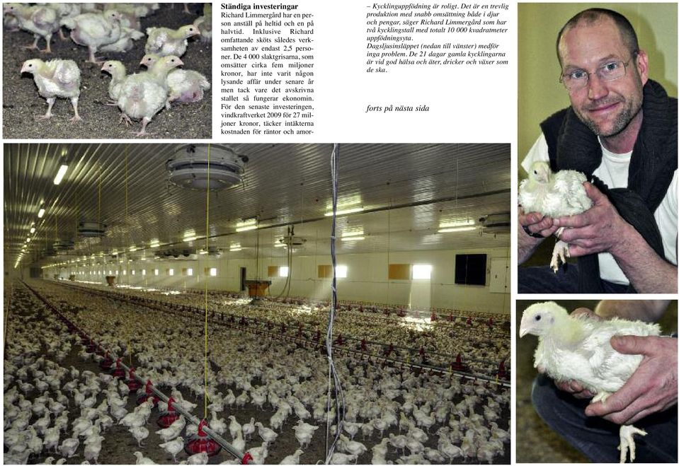För den senaste investeringen, vindkraftverket 2009 för 27 miljoner kronor, täcker intäkterna kostnaden för räntor och amor- Kycklinguppfödning är roligt.