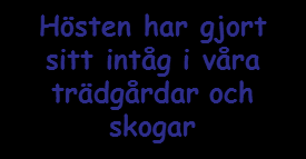 Kallhäll - Stäket Nr: 4 2014 Kontakta oss: PRO Kallhäll-Stäket Box 2006 176 02 Järfälla Expedition, 3 tr. Folkets Hus Kallhäll Öppet Onsdagar 13-15 Jan. Maj Sept.- Dec. Tel. 583 513 86 Pg.