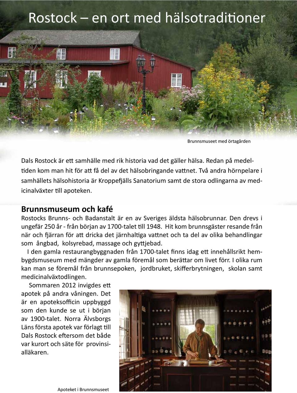 Två andra hörnpelare i samhällets hälsohistoria är Kroppefjälls Sanatorium samt de stora odlingarna av medicinalväxter till apoteken.