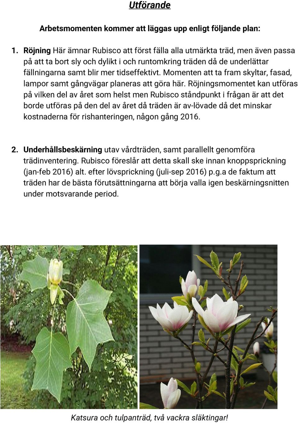 Momenten att ta fram skyltar, fasad, lampor samt gångvägar planeras att göra här.