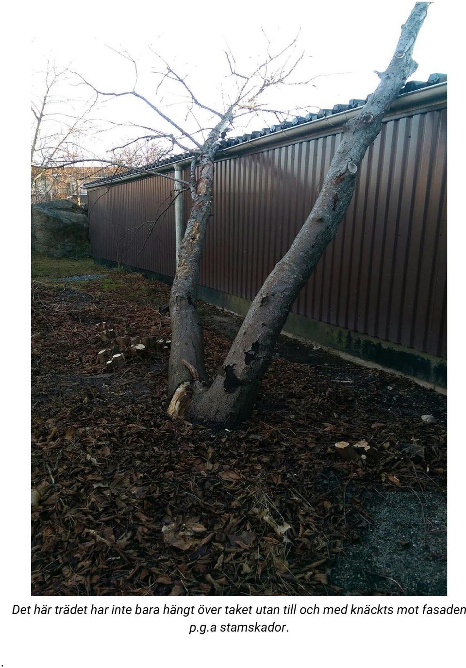 utan till och med knäckts