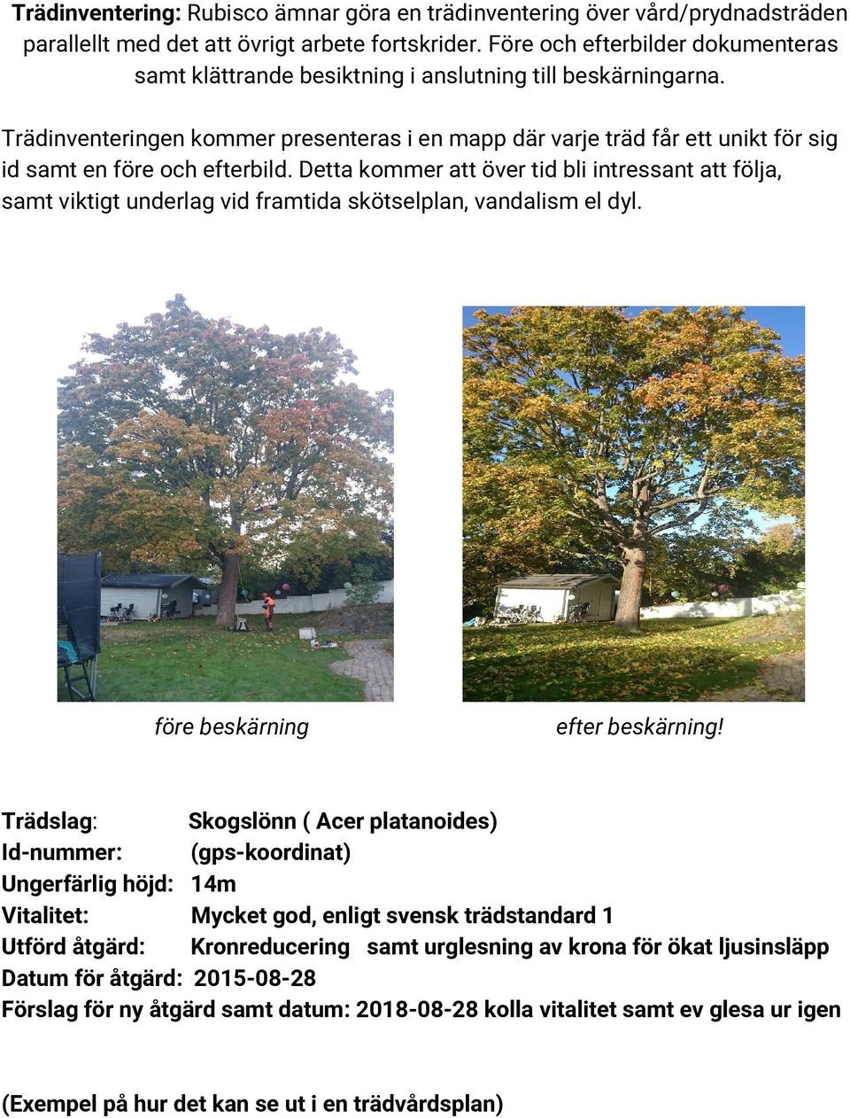 Trädinventeringen kommer presenteras i en mapp där varje träd får ett unikt för sig id samt en före och efterbild.