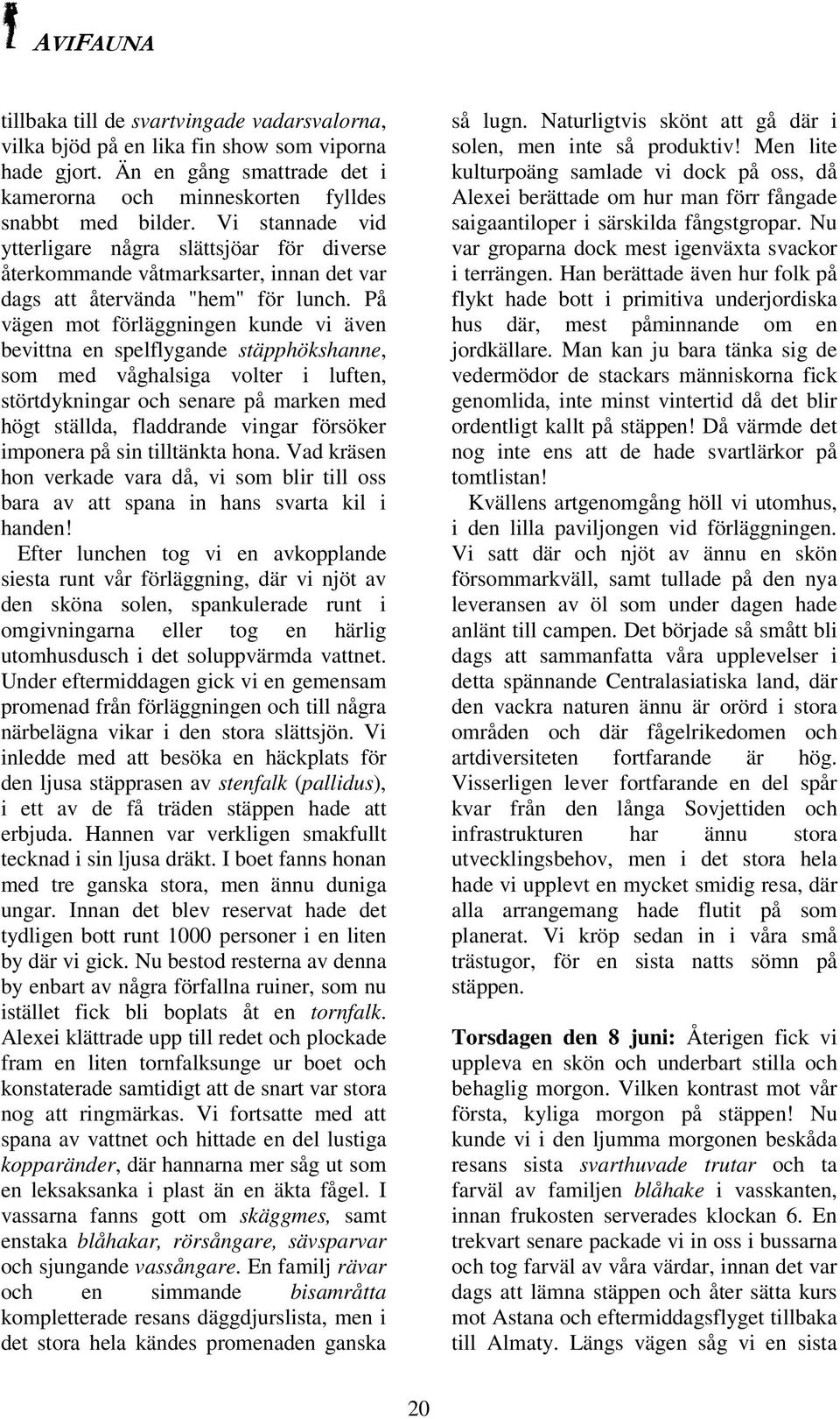 På vägen mot förläggningen kunde vi även bevittna en spelflygande stäpphökshanne, som med våghalsiga volter i luften, störtdykningar och senare på marken med högt ställda, fladdrande vingar försöker