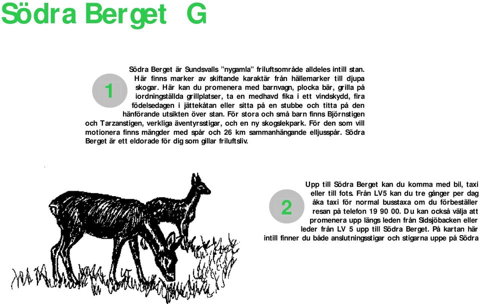 hänförande utsikten över stan. För stora och små barn finns Björnstigen och Tarzanstigen, verkliga äventyrsstigar, och en ny skogslekpark.