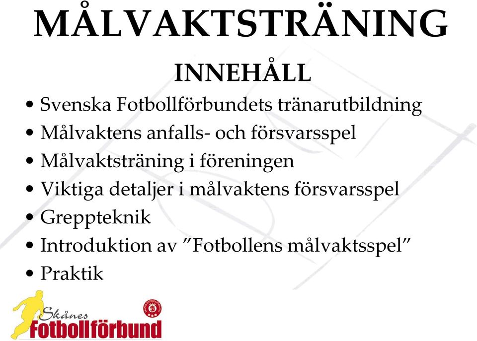 Viktiga detaljer i målvaktens försvarsspel