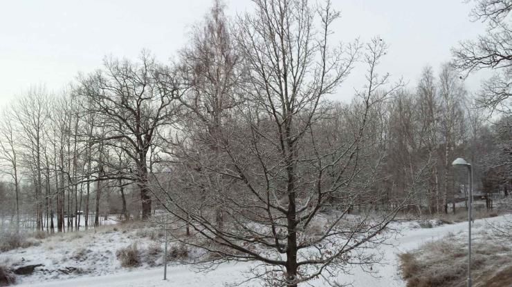 Lägger du Flygbladet åt sidan utan att läsa det har du inte en chans att hänga med i allt vi gör. Även hemsidan är en viktig källa till information.