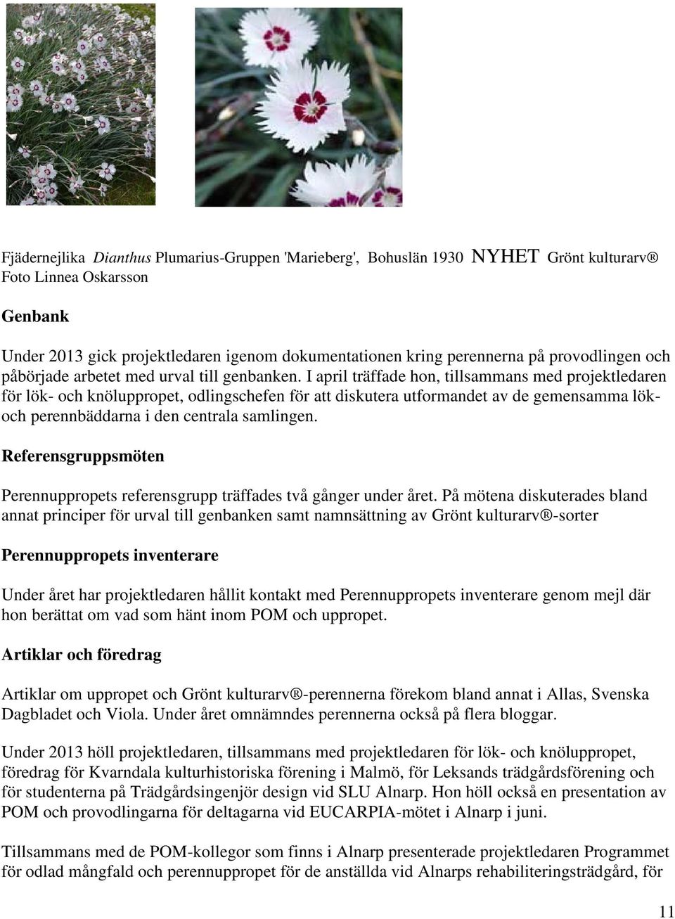 I april träffade hon, tillsammans med projektledaren för lök- och knöluppropet, odlingschefen för att diskutera utformandet av de gemensamma lökoch perennbäddarna i den centrala samlingen.