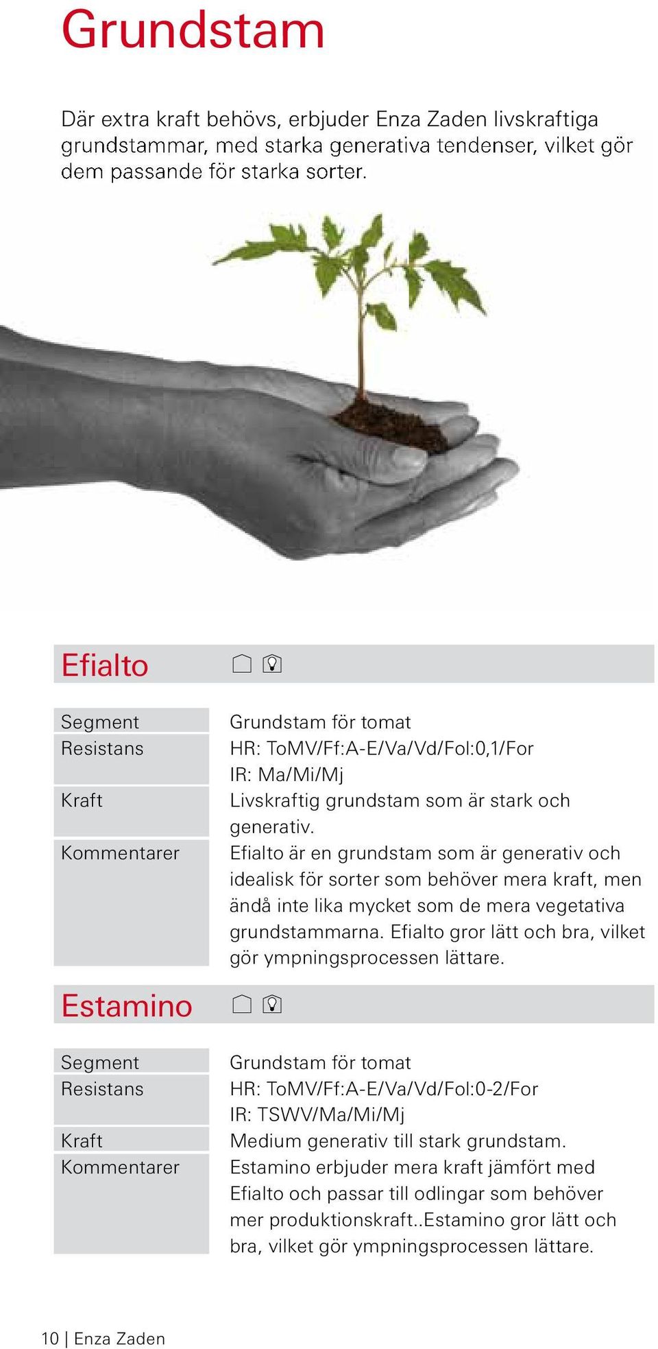 Efialto är en grundstam som är generativ och idealisk för sorter som behöver mera kraft, men ändå inte lika mycket som de mera vegetativa grundstammarna.