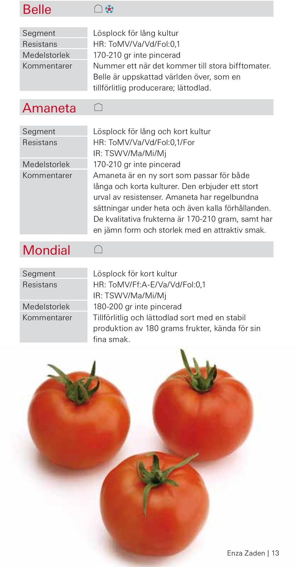 Lösplock för lång och kort kultur HR: ToMV/Va/Vd/Fol:0,1/For IR: TSWV/Ma/Mi/Mj 170-210 gr inte pincerad Amaneta är en ny sort som passar för både långa och korta kulturer.