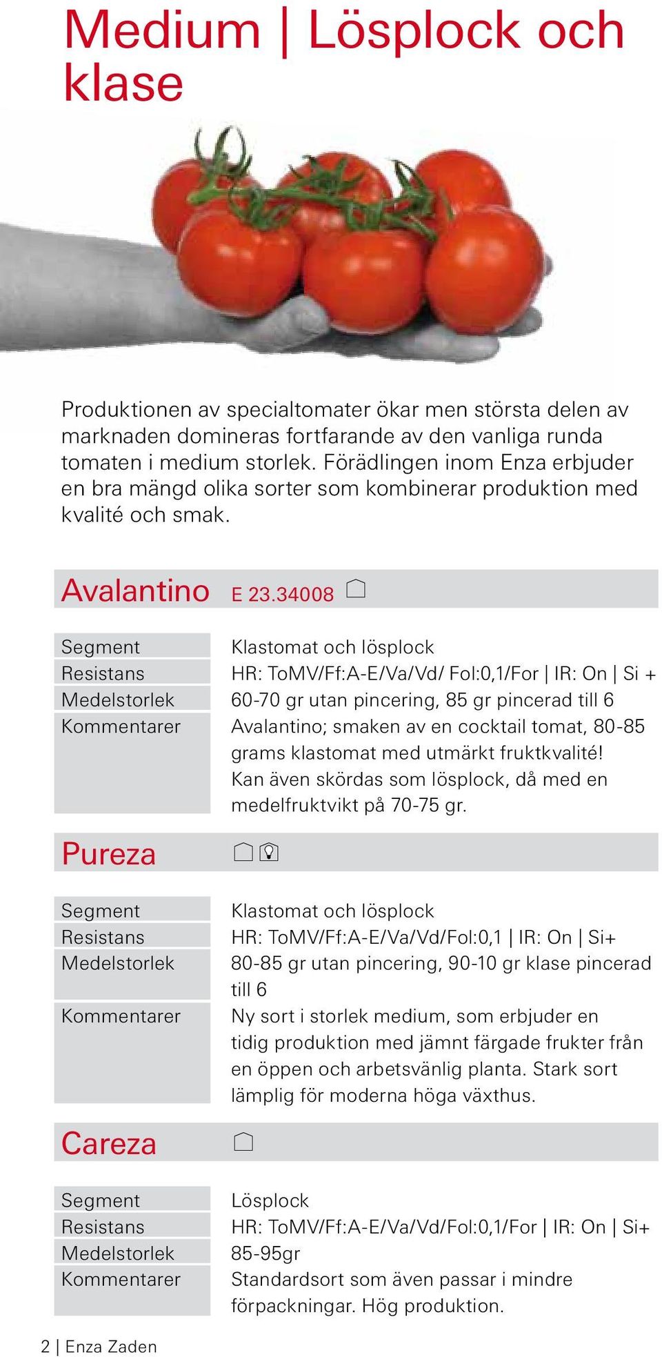 34008 Klastomat och lösplock HR: ToMV/Ff:A-E/Va/Vd/ Fol:0,1/For IR: On Si + 60-70 gr utan pincering, 85 gr pincerad till 6 Avalantino; smaken av en cocktail tomat, 80-85 grams klastomat med utmärkt