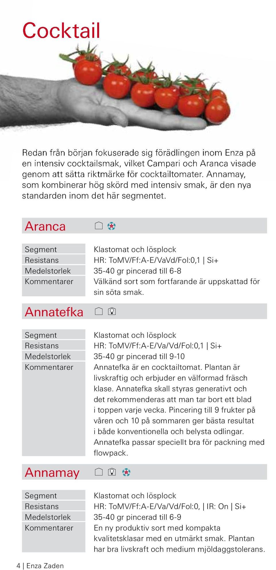 Aranca Klastomat och lösplock HR: ToMV/Ff:A-E/VaVd/Fol:0,1 Si+ 35-40 gr pincerad till 6-8 Välkänd sort som fortfarande är uppskattad för sin söta smak.