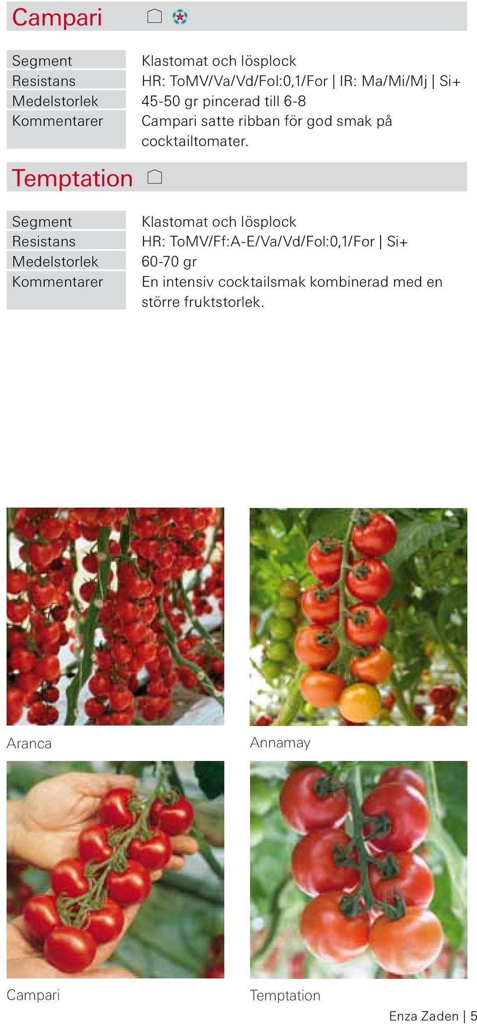 Temptation Klastomat och lösplock HR: ToMV/Ff:A-E/Va/Vd/Fol:0,1/For Si+ 60-70 gr En