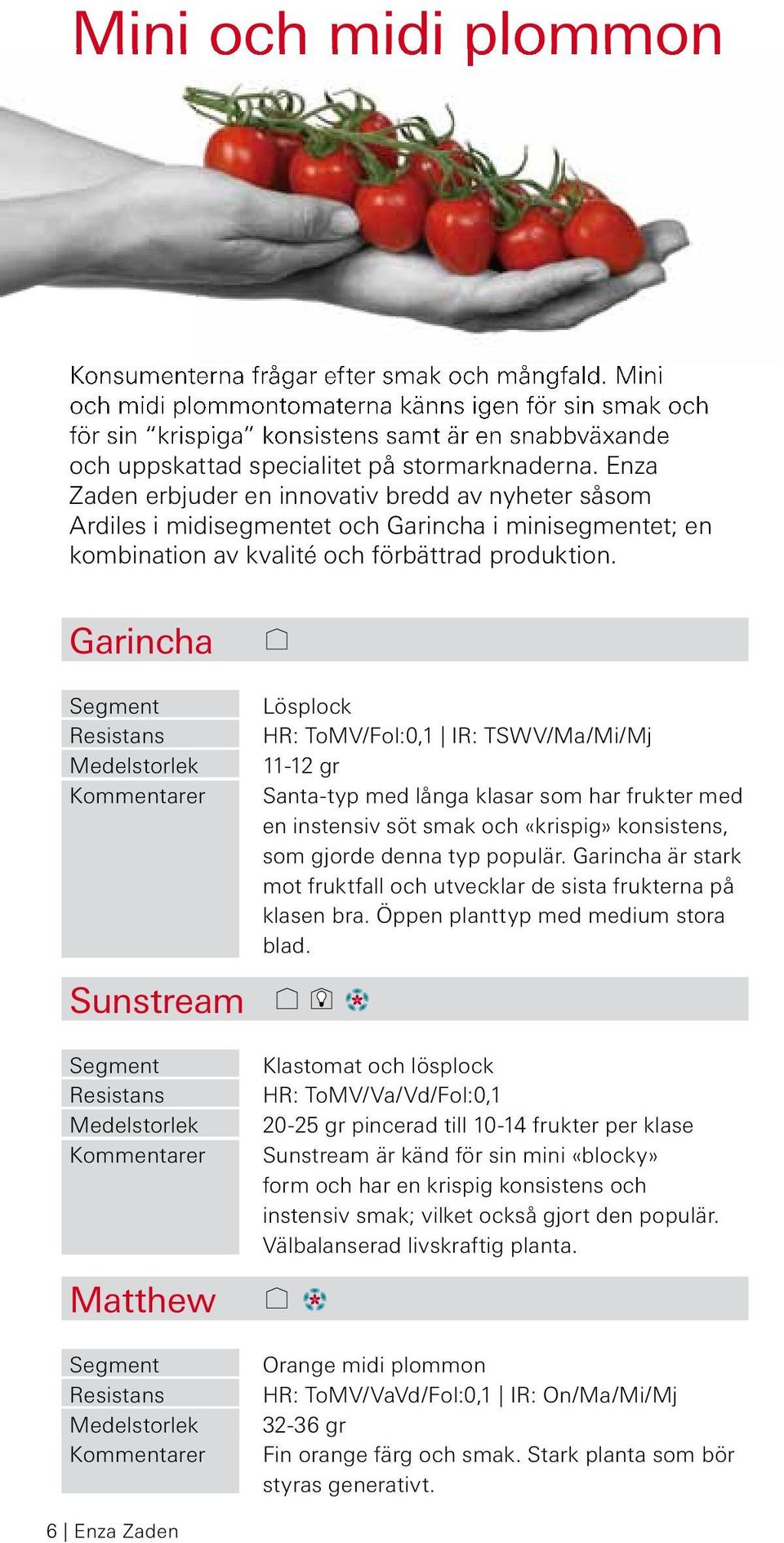 Enza Zaden erbjuder en innovativ bredd av nyheter såsom Ardiles i midisegmentet och Garincha i minisegmentet; en kombination av kvalité och förbättrad produktion.