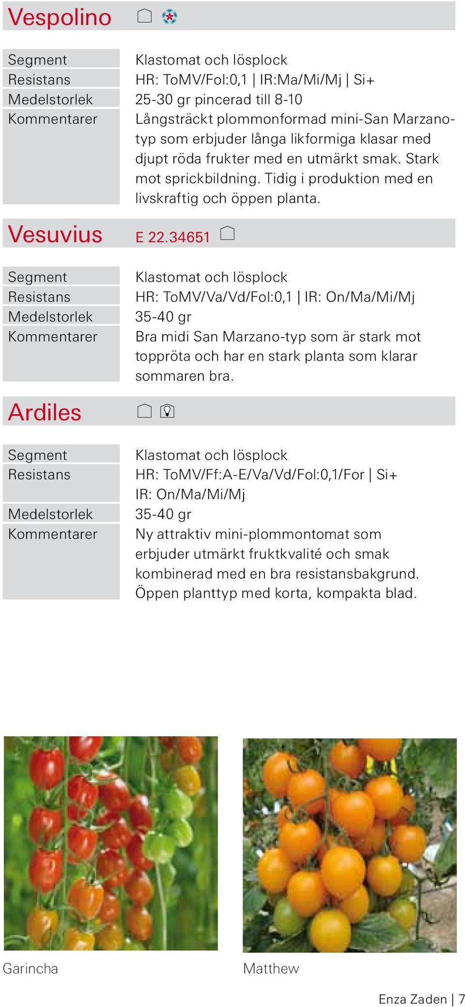 34651 Ardiles Klastomat och lösplock HR: ToMV/Va/Vd/Fol:0,1 IR: On/Ma/Mi/Mj 35-40 gr Bra midi San Marzano-typ som är stark mot toppröta och har en stark planta som klarar sommaren bra.