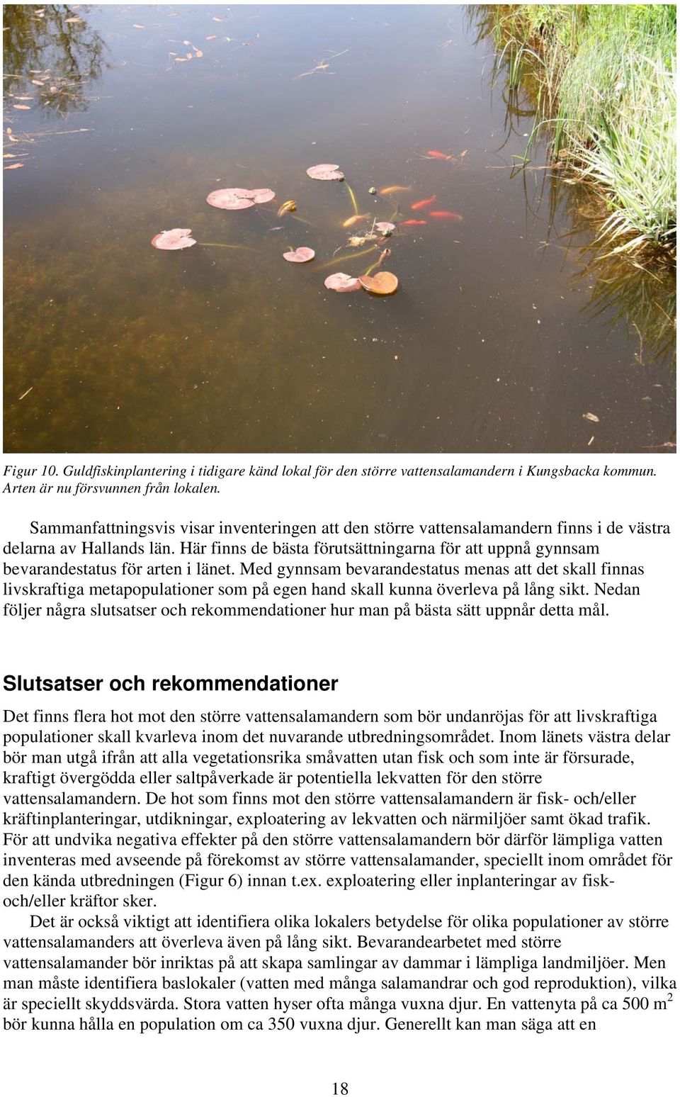 Här finns de bästa förutsättningarna för att uppnå gynnsam bevarandestatus för arten i länet.