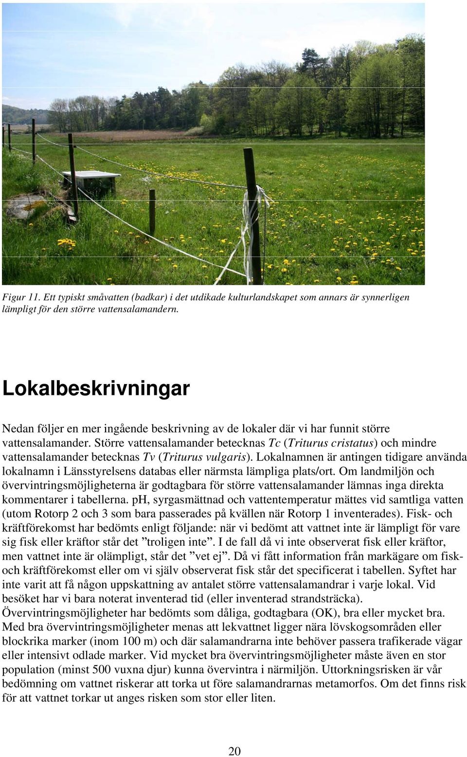 Större vattensalamander betecknas Tc (Triturus cristatus) och mindre vattensalamander betecknas Tv (Triturus vulgaris).