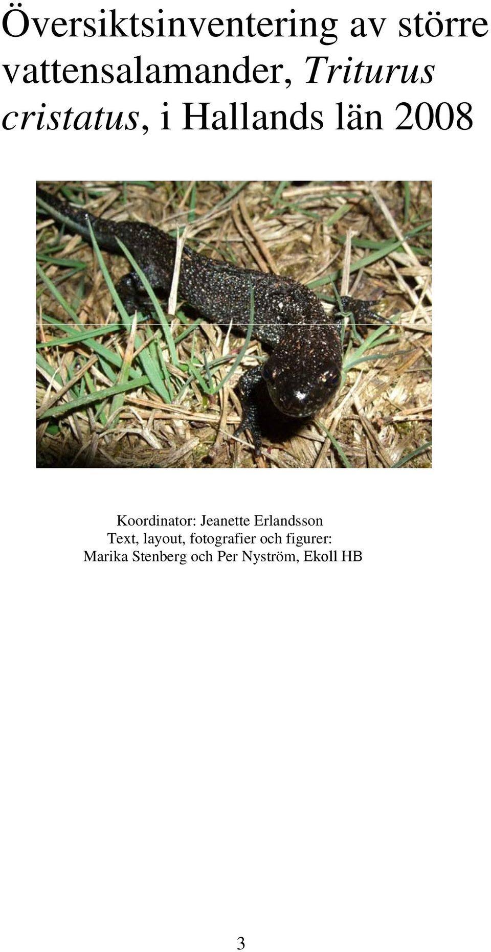 Koordinator: Jeanette Erlandsson Text, layout,