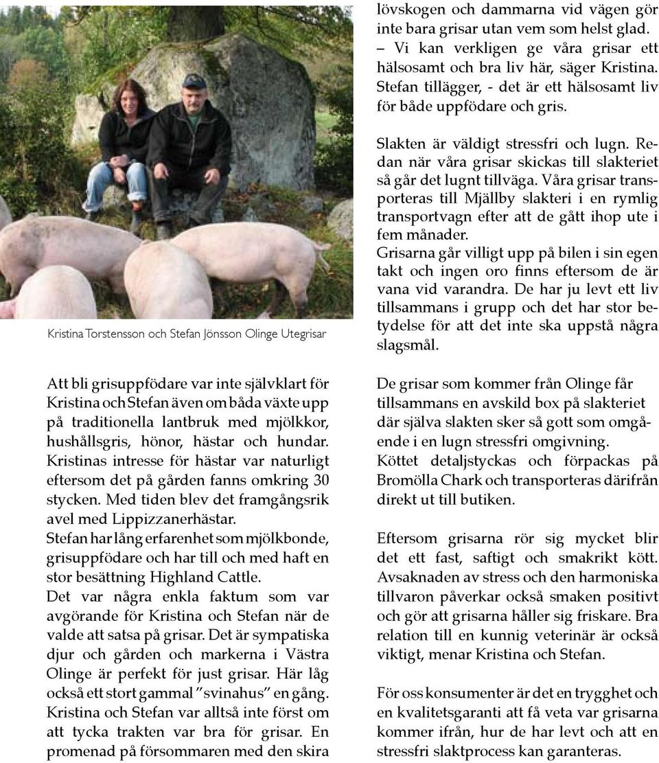 Kristina Torstensson och Stefan Jönsson Olinge Utegrisar Att bli grisuppfödare var inte självklart för Kristina och Stefan även om båda växte upp på traditionella lantbruk med mjölkkor, hushållsgris,