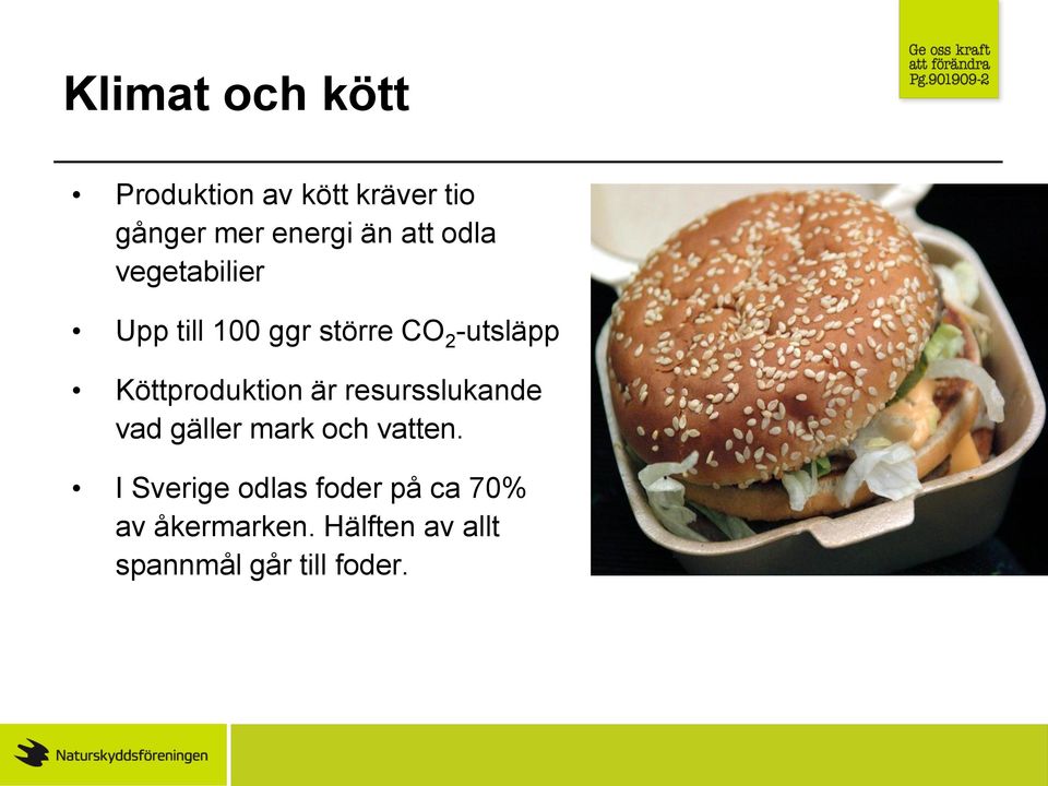 Köttproduktion är resursslukande vad gäller mark och vatten.