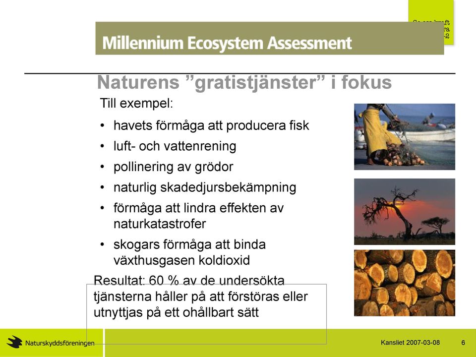 av naturkatastrofer skogars förmåga att binda växthusgasen koldioxid Resultat: 60 % av de