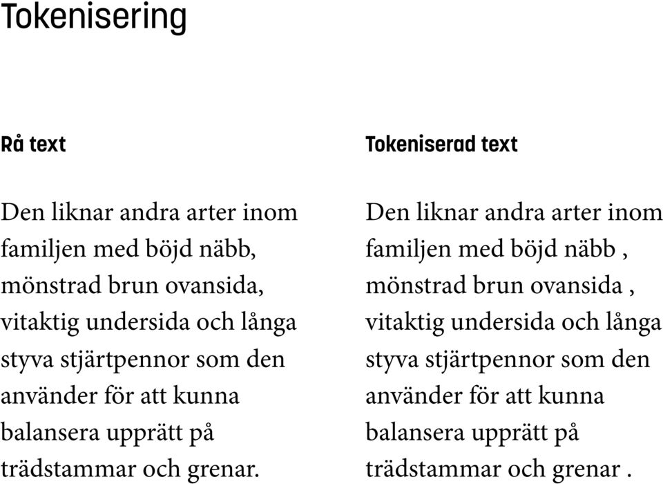 trädstammar och grenar.