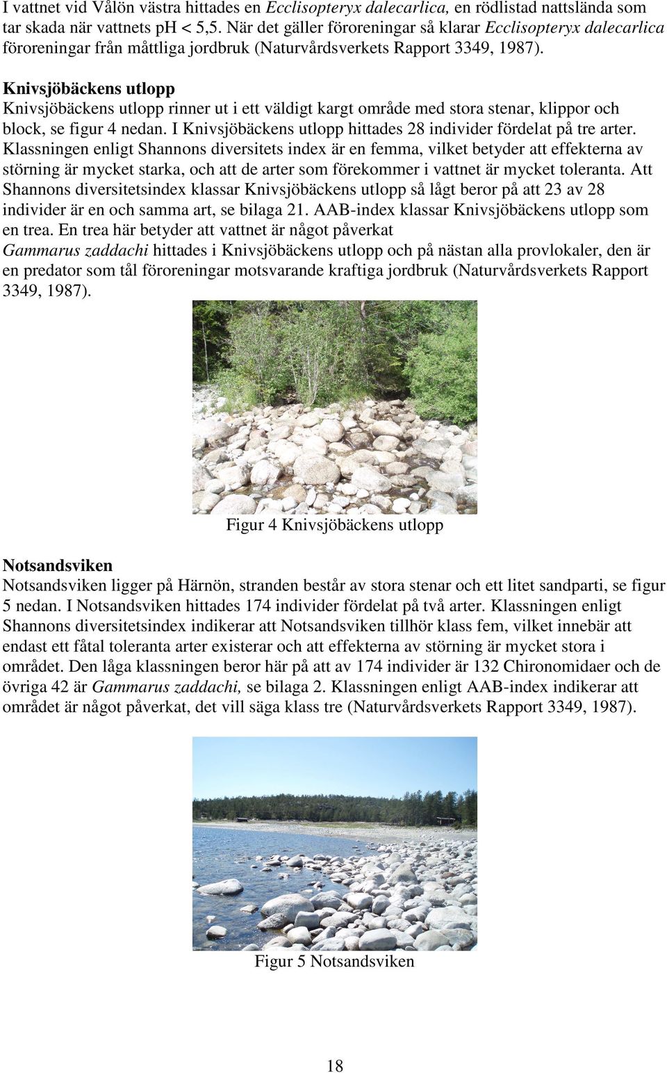 Knivsjöbäckens utlopp Knivsjöbäckens utlopp rinner ut i ett väldigt kargt område med stora stenar, klippor och block, se figur 4 nedan.