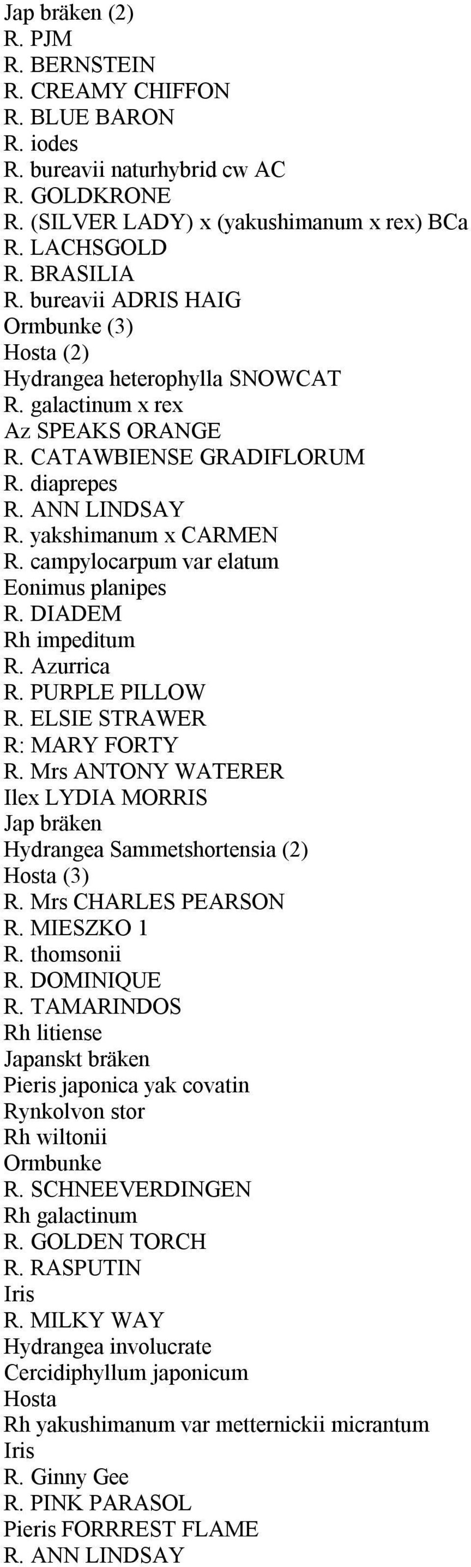 campylocarpum var elatum Eonimus planipes R. DIADEM Rh impeditum R. Azurrica R. PURPLE PILLOW R. ELSIE STRAWER R: MARY FORTY R.