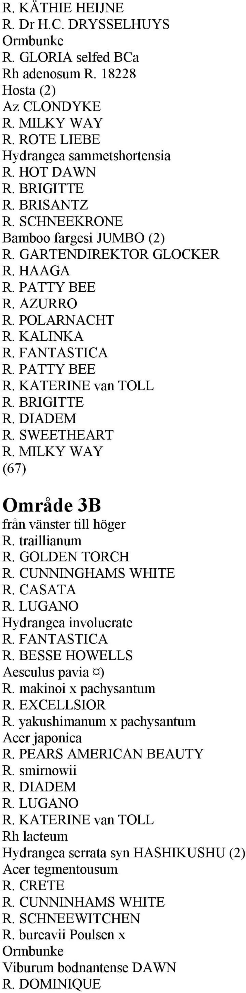 DIADEM R. SWEETHEART R. MILKY WAY (67) Område 3B från vänster till höger R. traillianum R. GOLDEN TORCH R. CUNNINGHAMS WHITE R. CASATA R. LUGANO Hydrangea involucrate R. FANTASTICA R.