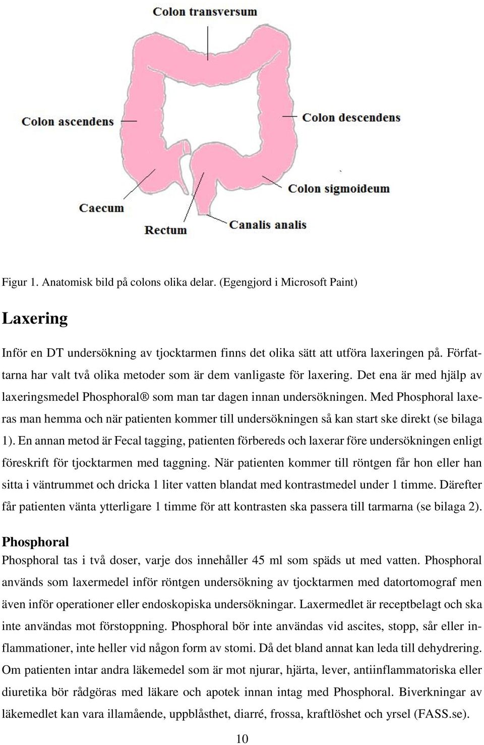 Med Phosphoral laxeras man hemma och när patienten kommer till undersökningen så kan start ske direkt (se bilaga 1).