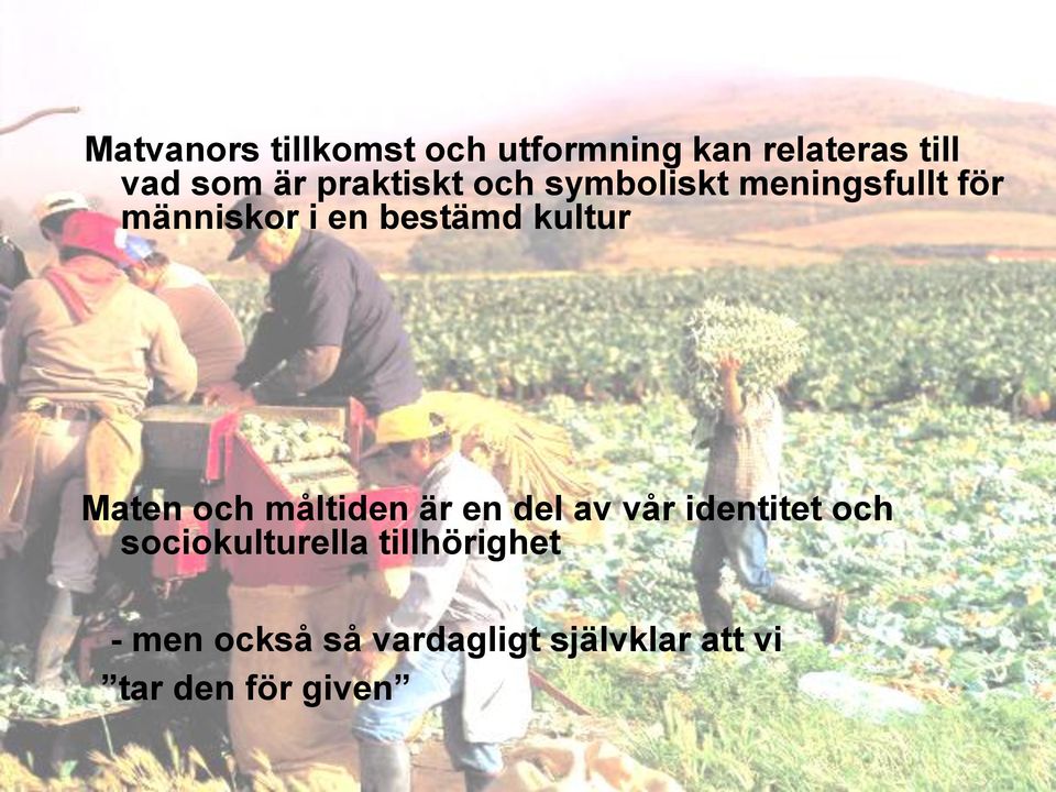 kultur Maten och måltiden är en del av vår identitet och