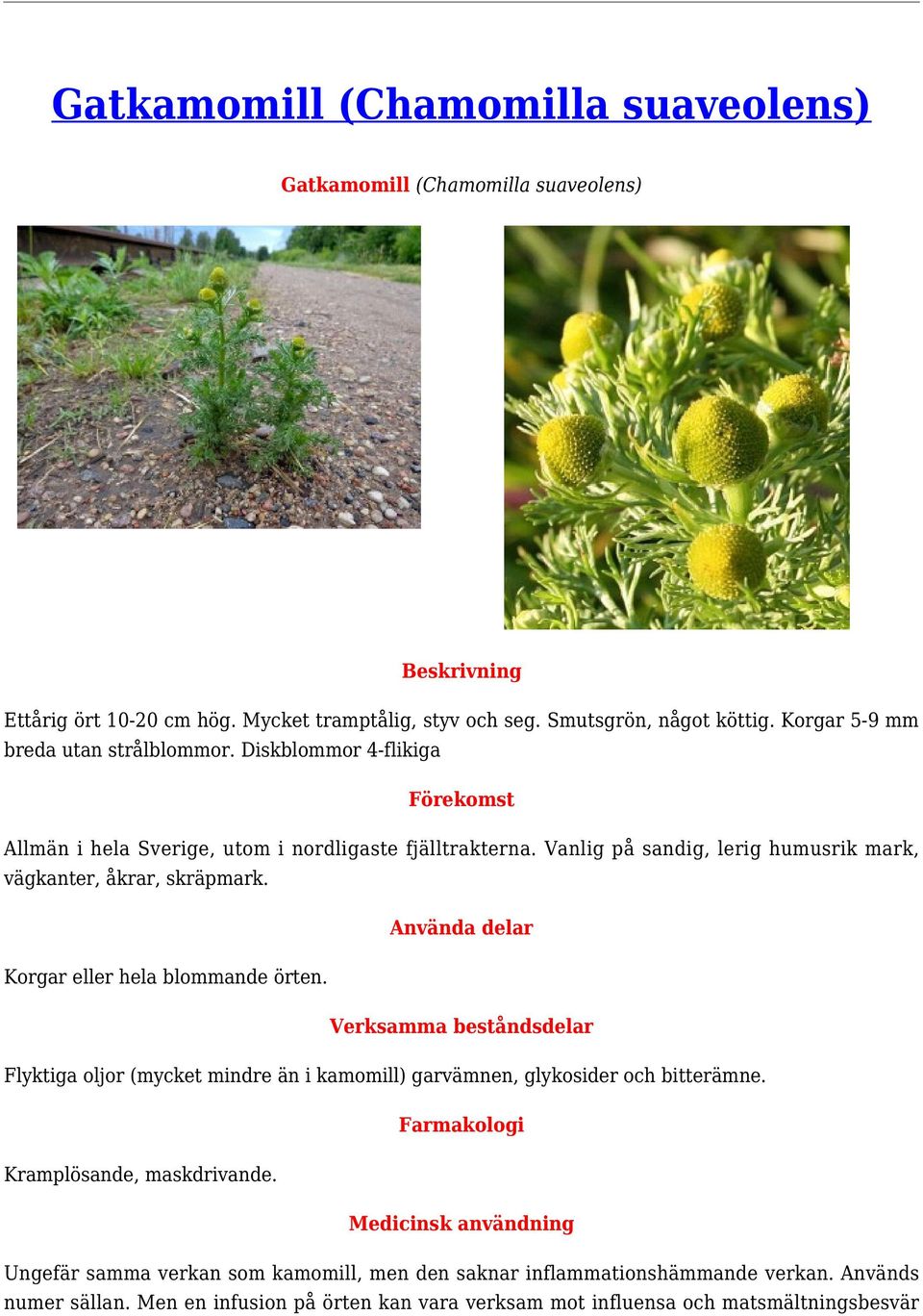 Vanlig på sandig, lerig humusrik mark, vägkanter, åkrar, skräpmark. Korgar eller hela blommande örten.