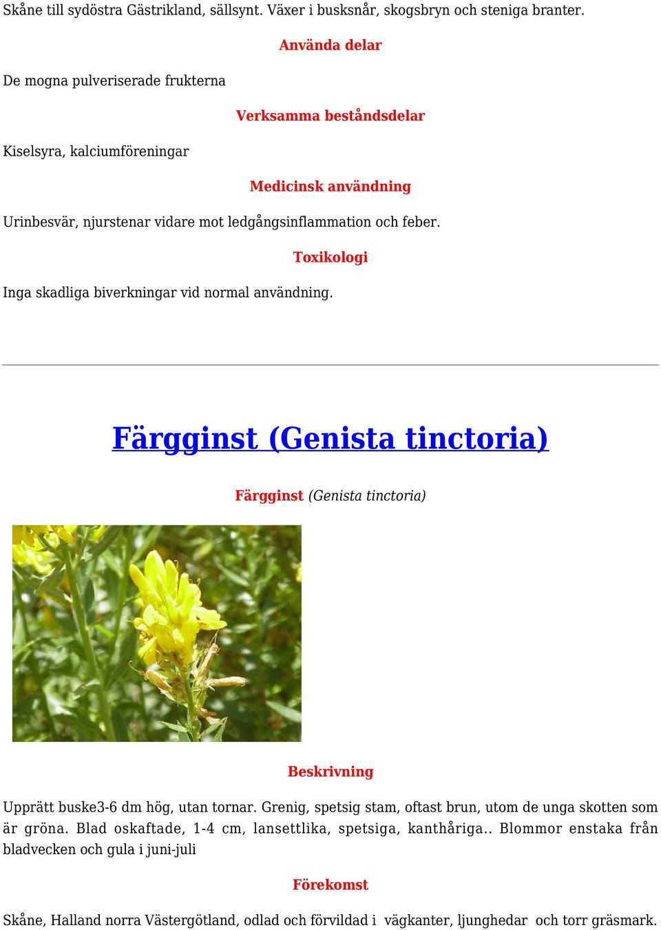 Inga skadliga biverkningar vid normal användning. Färgginst (Genista tinctoria) Färgginst (Genista tinctoria) Upprätt buske3-6 dm hög, utan tornar.