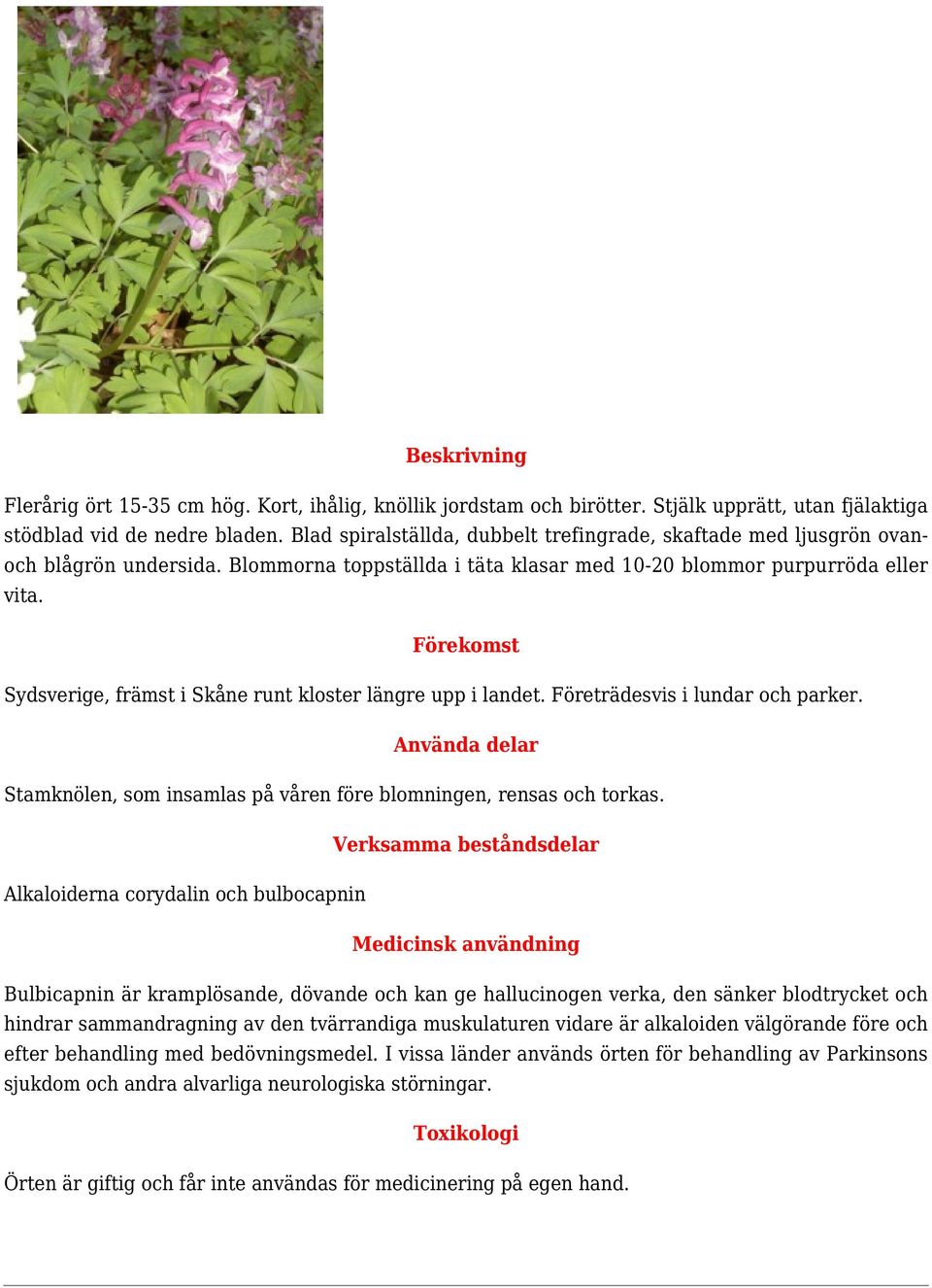 Sydsverige, främst i Skåne runt kloster längre upp i landet. Företrädesvis i lundar och parker. Stamknölen, som insamlas på våren före blomningen, rensas och torkas.