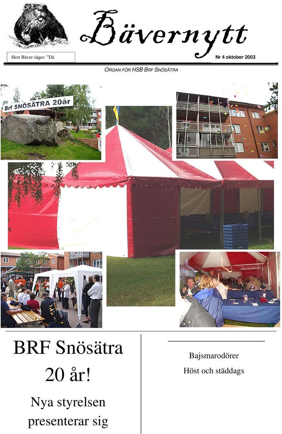 BRF Snösätra 20 år!