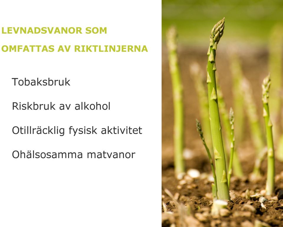 Riskbruk av alkohol