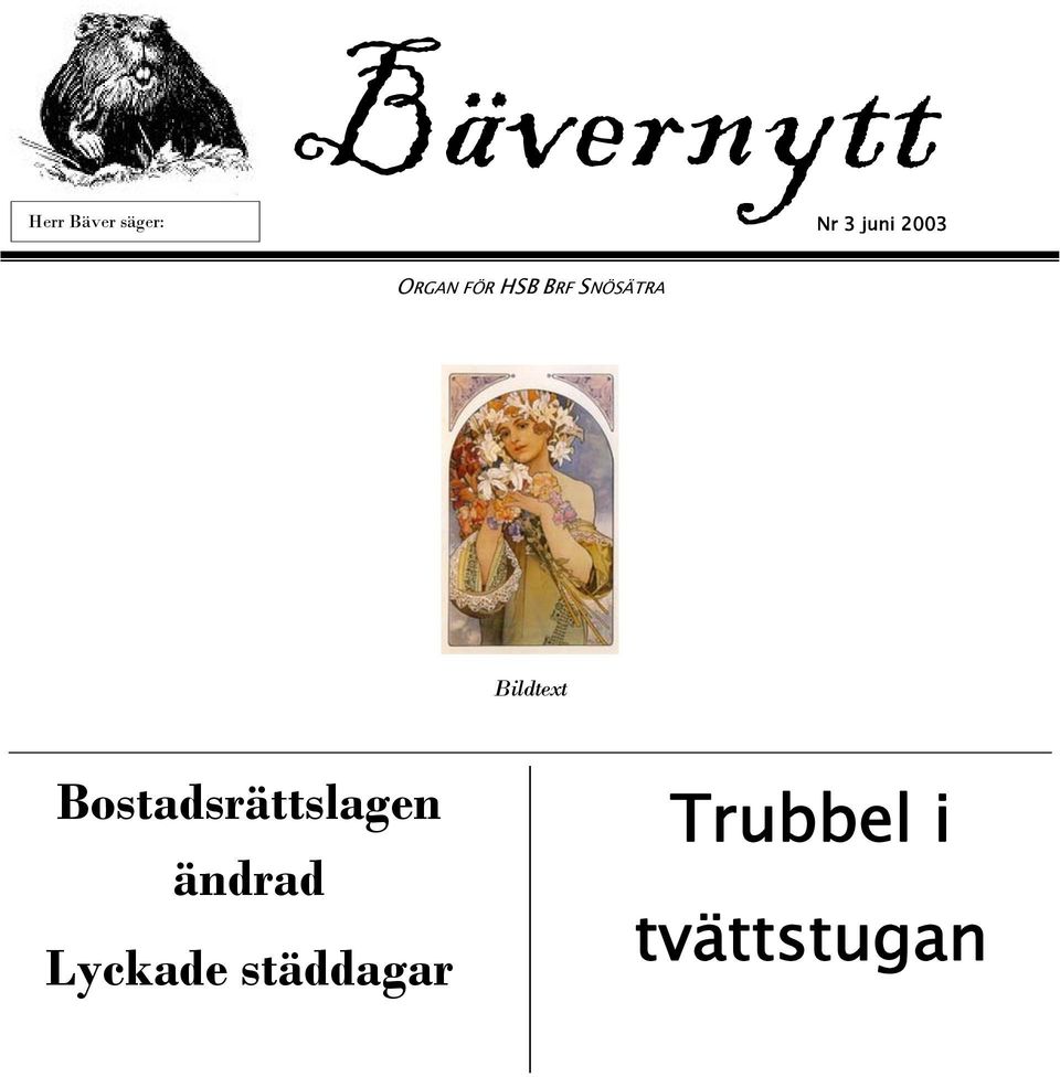 SNÖSÄTRA Bildtext Bostadsrättslagen