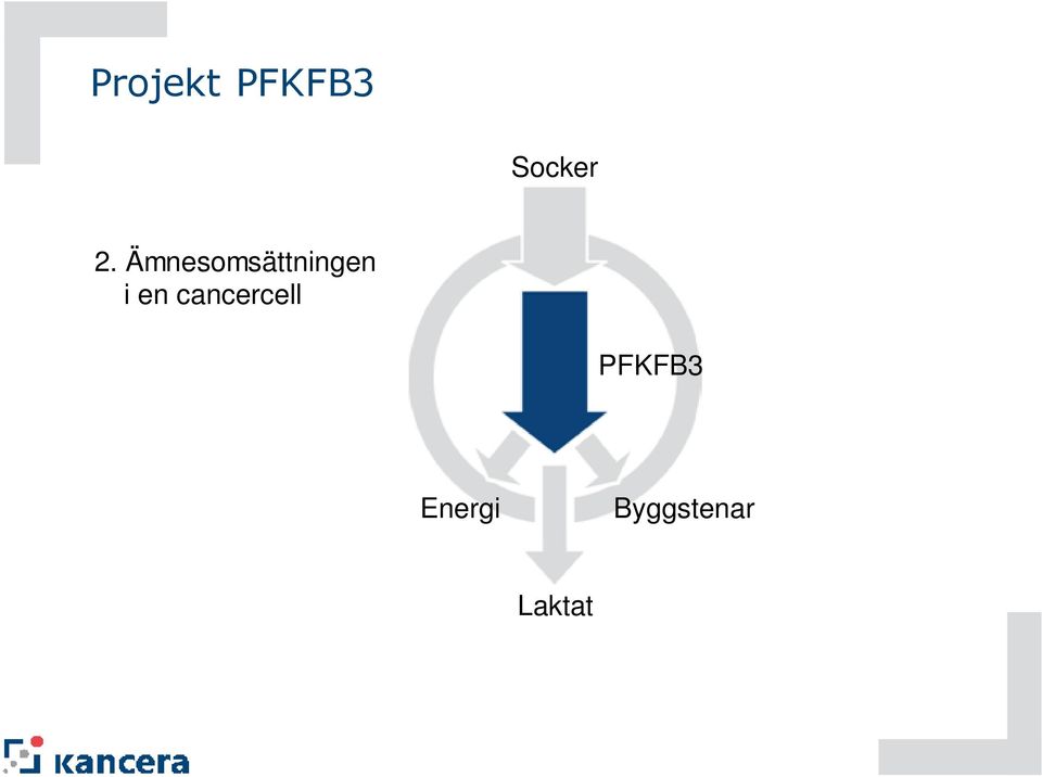 en cancercell PFKFB3