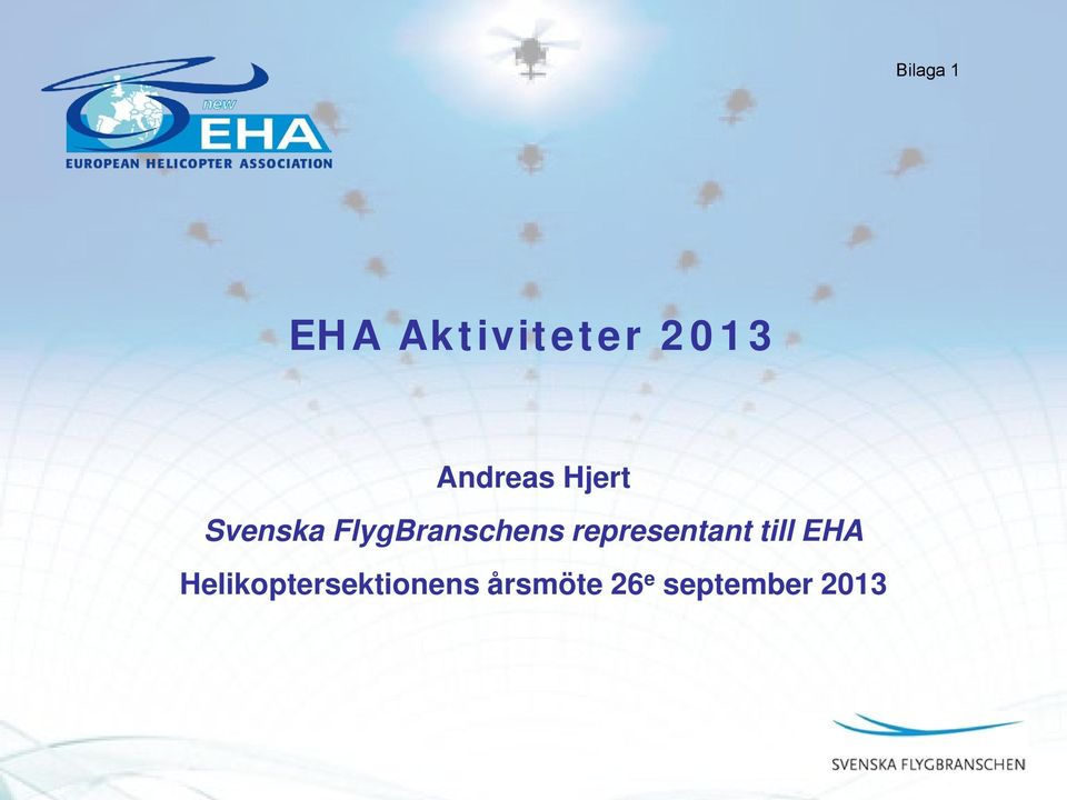 FlygBranschens representant till