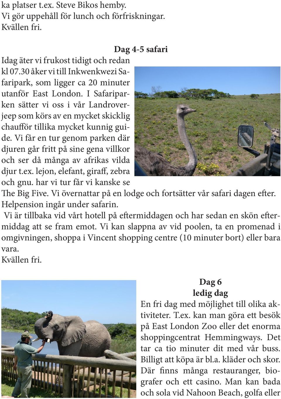 I Safariparken sätter vi oss i vår Landroverjeep som körs av en mycket skicklig chaufför tillika mycket kunnig guide.